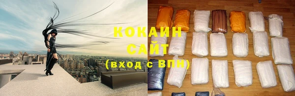 МДПВ Каменка