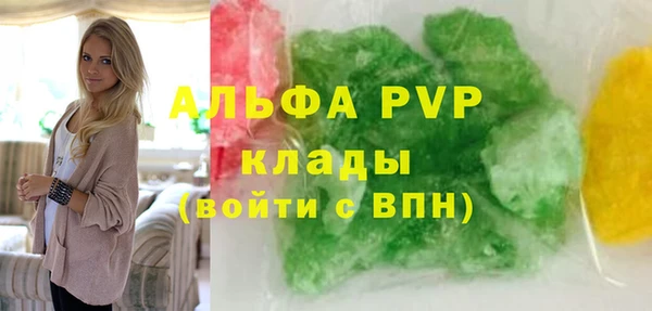 МДПВ Каменка