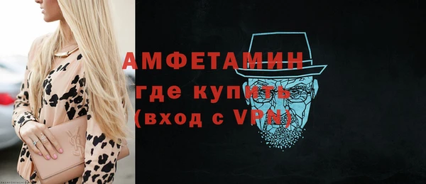 МДПВ Каменка