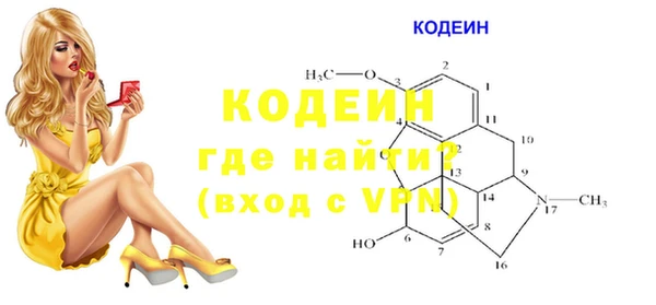 МДПВ Каменка