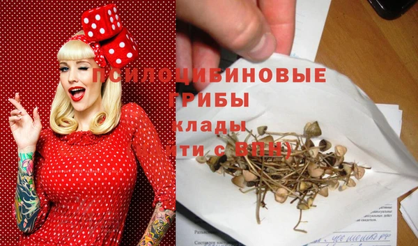 jwh Каменск-Шахтинский