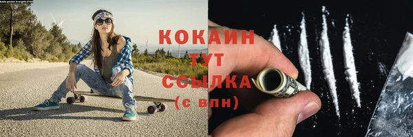 МДПВ Каменка