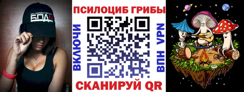 Галлюциногенные грибы Magic Shrooms  Купить где  Богородицк 